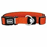 DDOXX Airmesh Hundehalsband - Stabiles und Verstellbares Welpenhalsband für alle Größen - L (Orange)