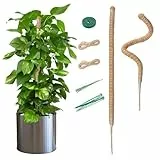 Mcbazel Set mit 2 Pflanzenstäben aus Kokosschaum, flexibel, 70 cm, für Kletterpflanzen mit Befestigungen, Rankhilfe, ideal zur Unterstützung von Pflanzen wie Monstera, Pothos und Topfpflanzen