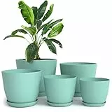 Utopia Home Pflanztöpfe für den Innenbereich mit Drainage, 1,8 cm, 15,2 cm, 15,2 cm, 13,9 cm, 12,9 cm, Blumentöpfe für den Innenbereich, 5 Stück Kunststoff-Pflanzgefäße – ideal für Strumpffüller oder