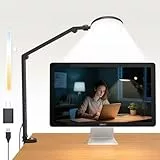 ZAPLIT 5V Schreibtischlampe mit Klemme, 10W Bürolampe mit verstellbarem Schwenkarm, Touchsteuerung, 5 Lichtfarben (1700K–6000K), 10 Helligkeitsstufen, Timer, für Homeoffice & Videokonferenzen