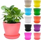 MEIYAXINWIN 10 Stück Blumentopf Klein mit Untersetzer, 10cm Pflanztopf Plastik Dekorative Pflanztöpfe Bunte, Mini übertopf Kunststoff, Kleine Blumentöpfe Set für Innen und dem Balkon Pflanzen