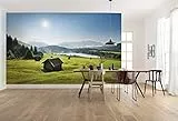 Komar Vlies Fototapete BERGWIESE VOR KARWENDEL | Tapete, XXL, Dekoration, Natur, Landschaft, Schlafzimmer, Wohnzimmer, Büro, Flur | Größe 450 x 280 cm (Breite x Höhe) | SHX9-009