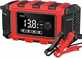 15A Auto Batterieladegerät 12 V/24 V, 9 Stufen Automatik Lithium Ladegerät Autobatterie mit Reparatur, Intelligentes Akku-Ladegerät für Auto, LKW, Motorrad, Boot, LiFePO4 Batterien (6A-2)