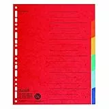 Falken Karton-Register für DIN A4 24 x 29,7 cm volle Höhe mit Organisationsdruck (6-teilig)