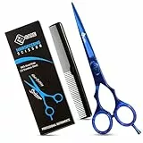 Professionelle Friseurschere, japanische Edelstahl-Salonschere – 16,5 cm – Feinjustierbare Spannschraube – Premium-Schere zum Haarschneiden (Blau 5.5')