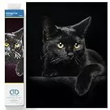 DIAMOND DOTZ DD5.001 - Original 5D Diamond Painting Set Mitternacht Katze, Kreativset mit 4.389 Diamant Mosaiksteinen, Malset ca. 36 x 28 cm, DIY Komplettset für Erwachsene und Kinder ab 8 Jahren
