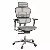 hjh OFFICE Bürostuhl ergonomisch ERGOHUMAN GEN2 Originales Design, 24h Einsatz, Bürosessel mit Flexibler Lordosenstütze, Netz Hellgrau