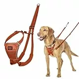 HALTI No Pull Anti-Zug Geschirr - Verhindert, dass Ihr Hund an der Leine zieht, Gepolsterter Brust- und Beingurt, Reflektierendes Gurtmaterial, Einfache Anpassung und Benutzung (Größe M, Dunkelorange)
