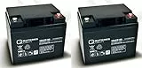 Ersatzakku für Meyra Power Primus 2 St. Q-Batteries 12LCP-50 12V-50Ah Blei Akku Zyklentyp AGM VRLA