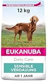Eukanuba Daily Care Sensitive Digestion Hundefutter - Trockenfutter für Hunde mit sensibler Verdauung, Magenfreundlich mit leicht verdaulichem Reis, 12 kg