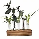 Reagenzgläser Für Blumen, Reagenzglas Vase Deko, Ableger Pflanzen Glas, Hydrokultur Glas,Propagation Station,Pflanzen Geschenke,Blumenvasen Klein-5A