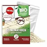 Plantura SF-Nematoden gegen Ameisen – 100% biologisch & hochwirksam, einfache Anwendung, Nützlinge aus Deutschland, 100 Mio für bis zu 100 Nester/ca. 20 m Mauer