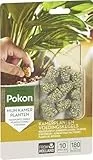 Pokon Pflanzenvoeding Kegeln für Zimmerpflanzen - 2x10 Stück - 6 Monate Nährstoffe - Gesunde und grüne Blätter