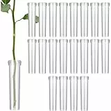 Orchideenröhrchen Flower, Kunststoff Blume Fläschchen, Blumen Wasserröhrchen mit Kappen, Blumenröhrchen Reagenzgläser für Blumen Wiederverwendbare Langlebige Tube für Blumenarrangement, 1,8*7cm, 20Stk