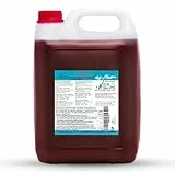 ICE Bär Slush Konzentrat Geschmack: Erdbeere Rot 5 L | Ergibt 30 L Slush | Glycerinfrei & AZO-frei | Fertigmix ohne Zuckerzusatz | Sirup für Slushmaschine & Frozen Drinks | Made in Germany