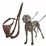 HALTI No Pull Anti-Zug Geschirr - Verhindert, dass Ihr Hund an der Leine zieht, Gepolsterter Brust- und Beingurt, Reflektierendes Gurtmaterial, Einfache Anpassung und Benutzung (Größe L, Walnussbraun)