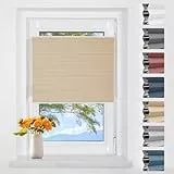 Verdunklungsplissee Wabenplissee ohne Bohren Weiß-beige 40x120cm(BxH) Thermo Plissee ohne Bohren Verdunkelung Zweifarbig 100% Blickdicht Sonnenschutz & Schallschutz Plisseerollo Klemmfix