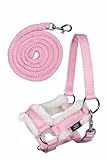 HKM SPORTS EQUIPMENT Hobby Horse Halfterset rosa