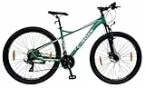 E-ROCK Mountainbike 29 Zoll, EX-10, Tourenrad, Fahrrad, MTB, Tourenfahrrad, Trekkingrad, Herren, Fitness Bike, Gabelfederung, Scheibenbremsen