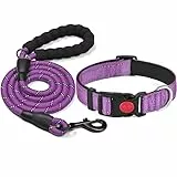haapaw reflektierendes Hundehalsband gepolstert mit weichem Neopren atmungsaktiv einstellbar Nylon Hundehalsbänder für kleine mittlere große Hunde
