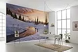 Komar Vlies Fototapete AMERICA THE BEAUTIFUL | Tapete, XXL, Dekoration, Natur, Landschaft, Schlafzimmer, Wohnzimmer, Büro, Flur | Größe 450 x 280 cm (Breite x Höhe) | SHX9-005