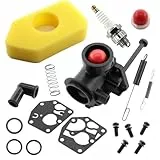 MCHNIC Vergaser mit Luftfilter Zündkerze für Briggs & Stratton 498809 498809A 497619 494406 Motoren Sprint Classic Quattro Q45 400 450 550 Series