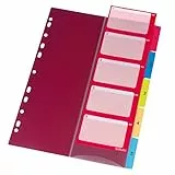 herlitz Register für A4,Index 1-5, 21 x 29,7 cm, PP-Folie, bunt mit Indexblatt und Eurolochung