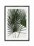 Komar Bilderrahmen Holz Stone Grey mit Art Poster Palmtree Leaves als Set - Größe: 50x70 cm - Wandbild, Dekoration, Palme, Blätter…