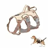 Wisebom Mehrzweck-hundegeschirr, Ausbruchsicheres Anti Zug Hundegeschirr, Anti Zug Geschirr Hund Sicherheitsgeschirr, Hundegeschirr Kleine Hunde für Kleine Mittelgroße Hunde (Beige, S)