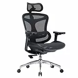 SIHOO Doro C300 Ergonomischer Bürostuhl mit ultraweichen 3D-Armlehnen, dynamischer Lordosenstütze für den Homeoffice-Stuhl, Verstellbarer Rückenlehne (Schwarz)