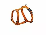 Nobby Geschirr Classic, orange Brust: 50/70 cm, B: 20 mm, 1 Stück