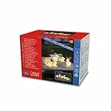 Konstsmide, 40 warm weiße Dioden LED Acryl Hasen Set, Kunststoff, 5er