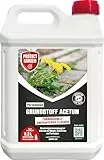 PROTECT GARDEN Permaclean Grundstoff Acetum, turboschnelle Beseitigung von Unkraut auf Wegen, Plätzen und Terrassen, 5 Liter Kanister