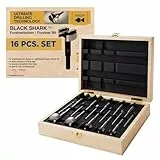 Fisch FSA-367208 Black Shark Forstner Bohrer-Set, individuelle Holzbox, inkl. Bits von 1/4 Zoll bis 2-1/8 Zoll geschmiedeter Stahl, 16-teilig