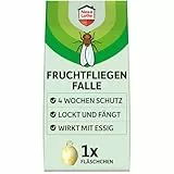 Nexa Lotte® Fruchtfliegen-Falle, 1 Stück, sofort einsatzbereit, essigbasierter Lockstoff, bis 4 Wochen wirksam