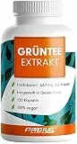 Grüntee Extrakt 120x Grüner Tee Kapseln - 1333 mg pro Tag, davon 600 mg EGCG - Grüntee Kapseln hochdosiert + Schwarzer Pfeffer - Grüner Tee Extrakt mit 95% Polyphenolen - 100% vegan