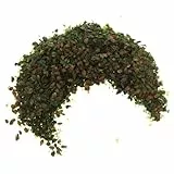 Healifty 1 Beutel Realistische Miniaturblätter aus Leichtem Kunstharz für Selbstgemacht Miniaturlandschaften und Modellbahn Dioramen mit Stabilen Grünen Blättern