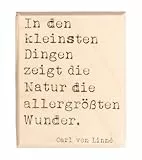 Rayher Stempel Holz, 'Naturwunder', 4 x 5 cm, Holzstempel zum Gestalten von Karten, Umschlägen, Geschenken, Butterer Stempel, 29273000, Natur