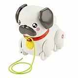 Fisher-Price Baby & Kleinkind Nachziehspielzeug FP Pets Gassi gehen mit Hündchen mit Bewegung und Geräuschen für Kinder ab 12 Monaten, HTW94