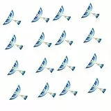 Homoyoyo 4er Set DIY Wurfgleiter Ornithopter – Gummiband Betriebene Flugzeuge in Verschiedenen Designs Für – Outdoor Aktivitäten Und Strandspaß
