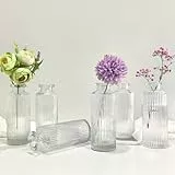 Sahallo kleinen Vasen 6 Stück Vintage mini Glas Vase Set Gestreift 13 cm kleine Glasvase Set Fläschchen modern für Blumen als Tischdekoration Gastgeschenke Hochzeitsdekoration für Event (transparent)