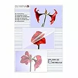 OLYMPIA Folienset 80 Mikron A3 50 Stk