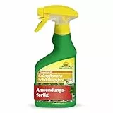 Neudorff Promanal AF Grünpflanzen Schädlingsfrei 250ml - Schildläuse bekämpfen an Ficus, Palmen und Zimmerpflanzen Schädlingsbekämpfung - Spinnmilben Spray für Grünpflanzen Mittel gegen Blattläuse