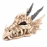 Puckator Dragon Skull Money Box -