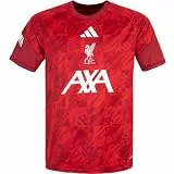 adidas LFC Liverpool FC Prematch Trikot Jersey (DE/NL/SE/PL, Alphanumerisch, L, Regular, Regular, red)