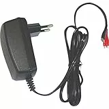DSK 6876 bc-6500 – 6 V-Ladegerät für Akku Blei Auto, Schwarz