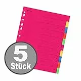 Falken Karton-Register für DIN A4 24 x 29,7 cm volle Höhe mit Organisationsdruck (10-teilig | 5er Pack)