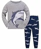 TEDD Jungen Schlafanzug Dinosaurier Langarm Zweiteilig Pyjama Kinder Baumwolle Schlafanzüge Set Winter Weihnachten Nachtwäsche Größe 1-2 Jahre