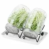 Sprossenglas Set|2er-Set 1000ml Keimglas mit Deckeln und Haltern und Schalen|Sprossengläser für die Sprossenzucht und Keimung von Samen