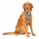 Kurgo Enhanced Strength TRU-Fit Hundegeschirr - Sicherheitsgeschirr für Haustiere auf Reisen - Crash-Test-zertifiziertes Design - An Fünf Punkten Verstellbar - Gepolsterte Brustpartie - Anthrazit - L